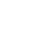 encrypted_icon