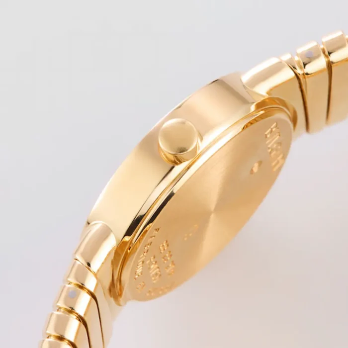 Bulgari Tubogas BB23 2T close-up